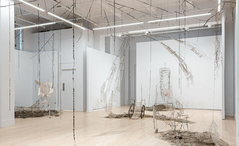 Jannick Deslauriers, Phasmids (installation view), 2022-2023, photo Alexis Bellavance